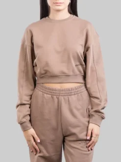 FELPA CORTA GIROCOLLO OVERSIZE TORTORA