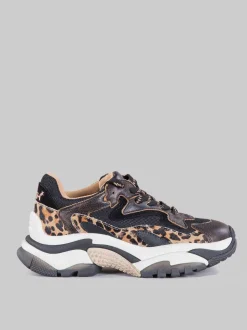 Sneaker addict