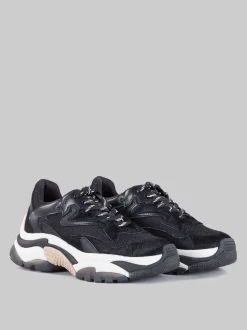 Sneaker addict